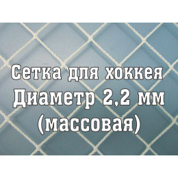 Сетка для хоккея, массовая d=2,2