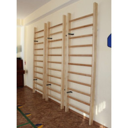 Стенка 2х0,8м с выносом (гимнастическая, шведская)